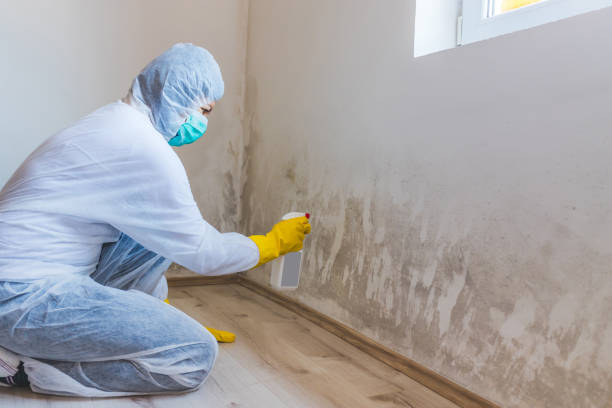 Licensed Crawl Space Mold Removal service in Saluda, VA - WQB Mold Removal