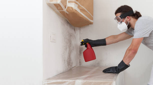 Professional Crawl Space Mold Removal technician working in Saluda, VA