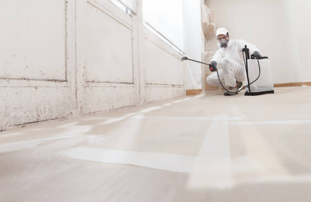 24/7 Emergency Crawl Space Mold Removal experts in Saluda, VA