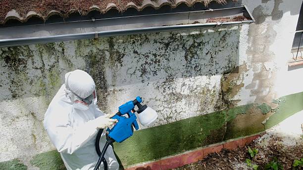 Top rated local Crawl Space Mold Removal specialists in Saluda, VA